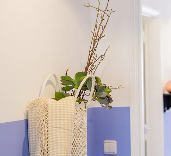 Boutique - Provence *